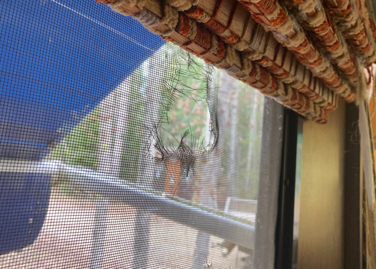default-22 A hole in a camper's window screen.
